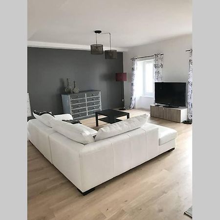 Annonay Centre, Grand Appartement Cosy, 3 Chambres Exterior photo