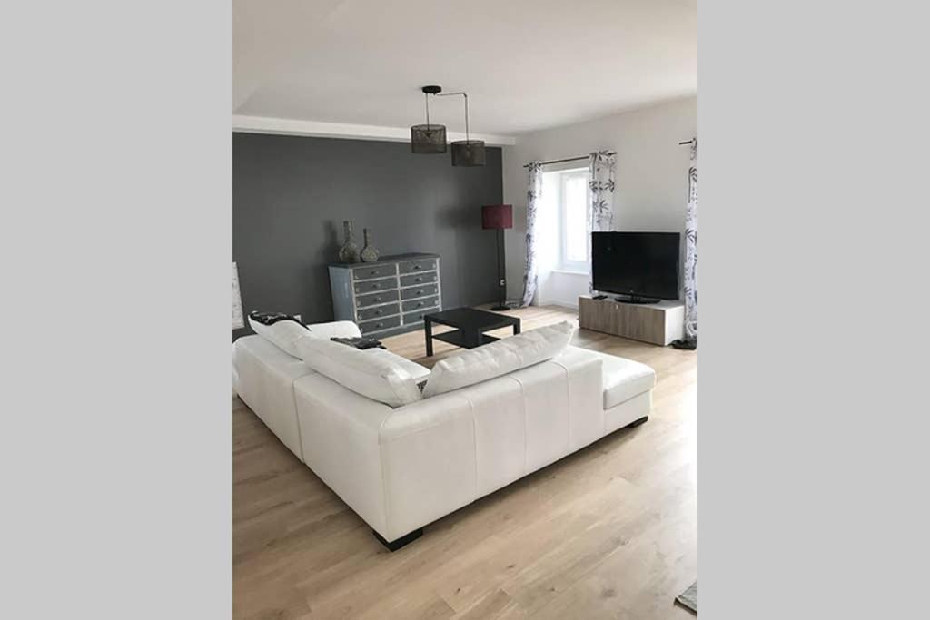 Annonay Centre, Grand Appartement Cosy, 3 Chambres Exterior photo