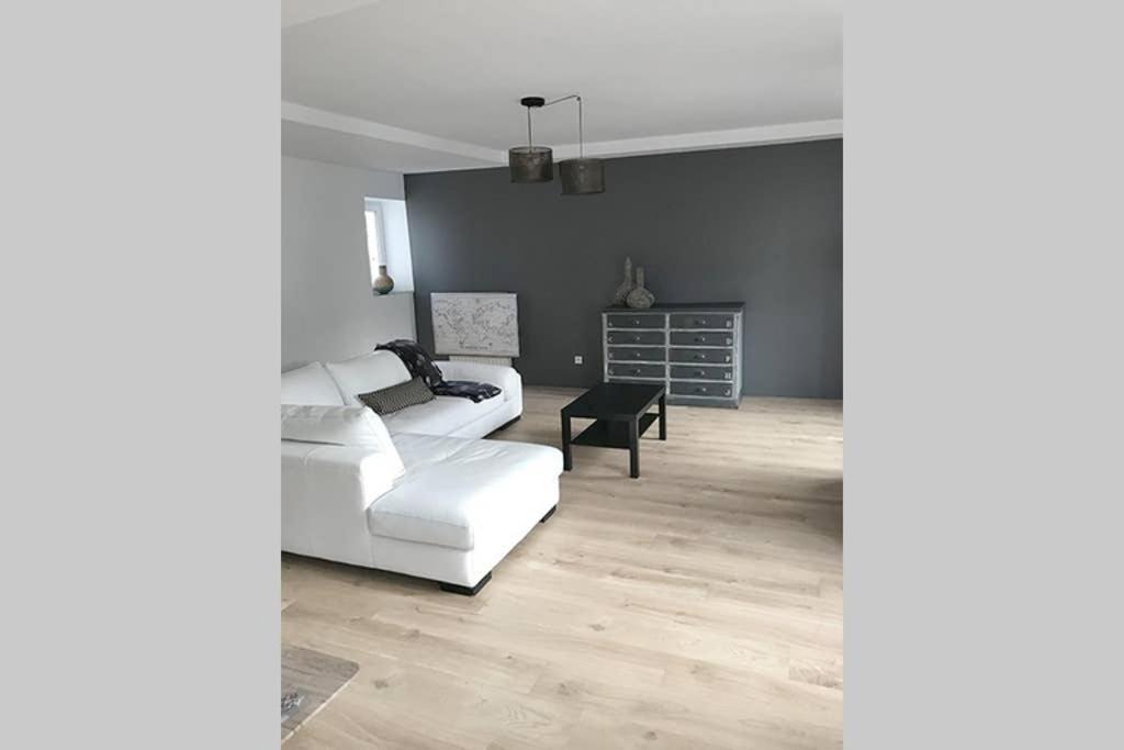 Annonay Centre, Grand Appartement Cosy, 3 Chambres Exterior photo